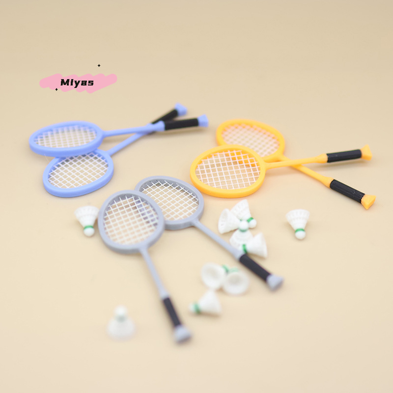 1 paire de raquettes de Badmin - Badminton House avis et prix